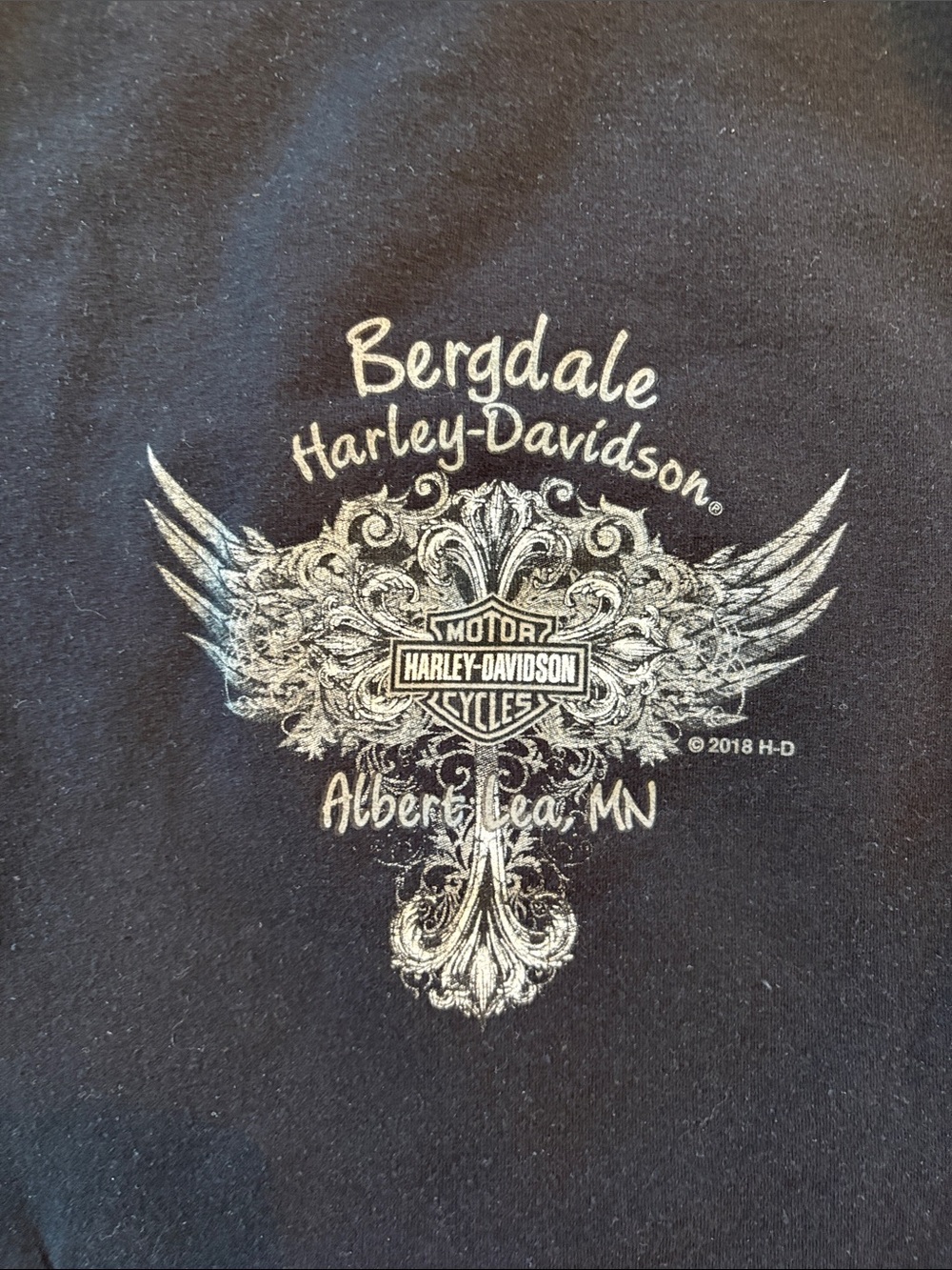 Harley-Davidson Black Hoodie with Winged Emblem - Picture 6 of 7
